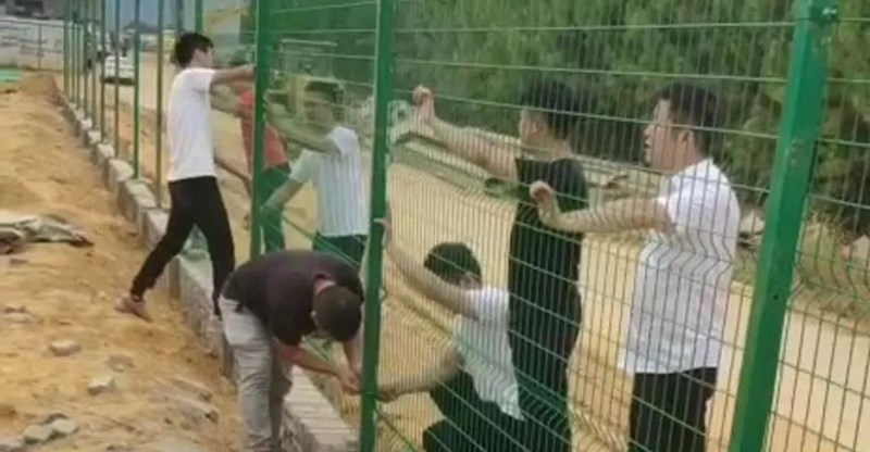 NLC电子(中国)集团