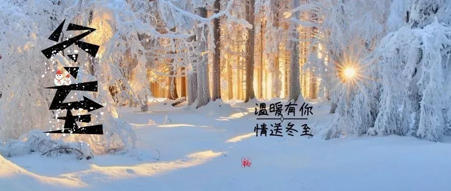 NLC电子(中国)集团