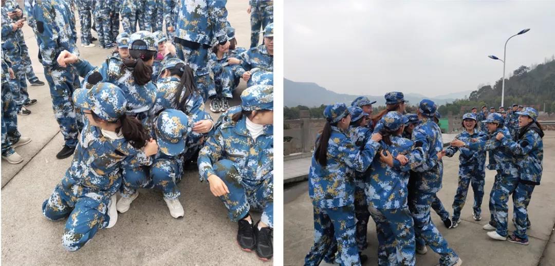 NLC电子(中国)集团