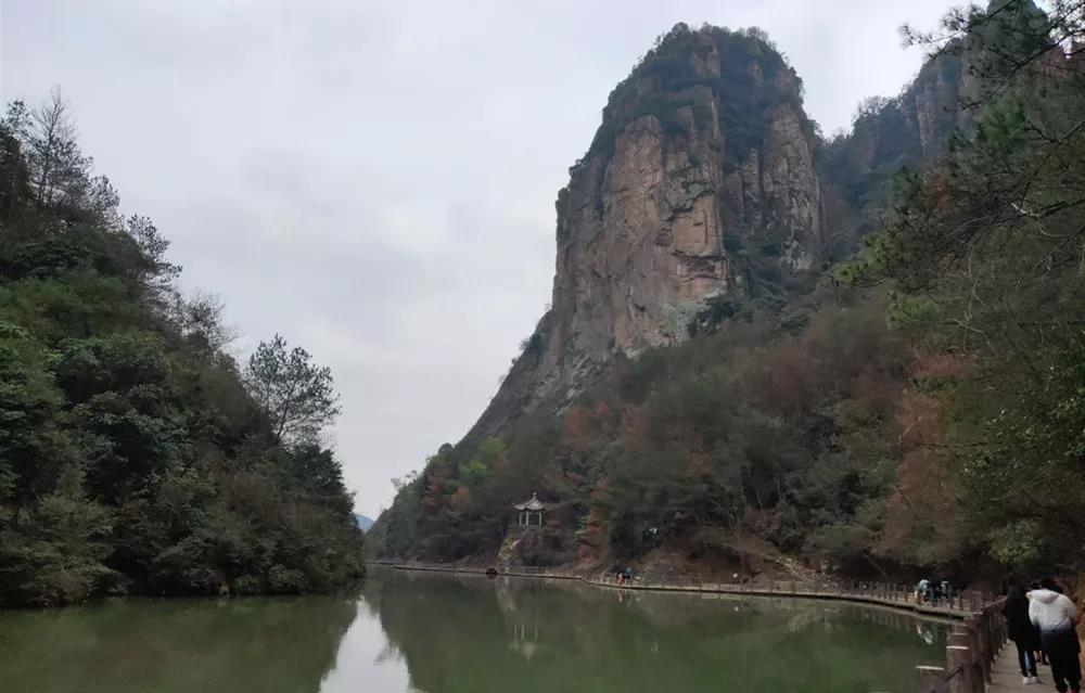 NLC电子(中国)集团