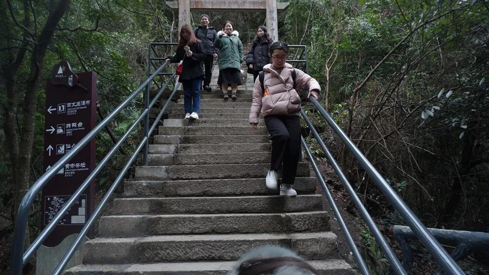 NLC电子(中国)集团