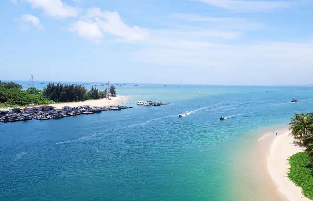 NLC电子(中国)集团