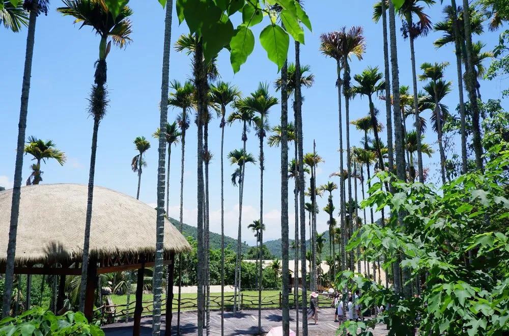 NLC电子控股集团