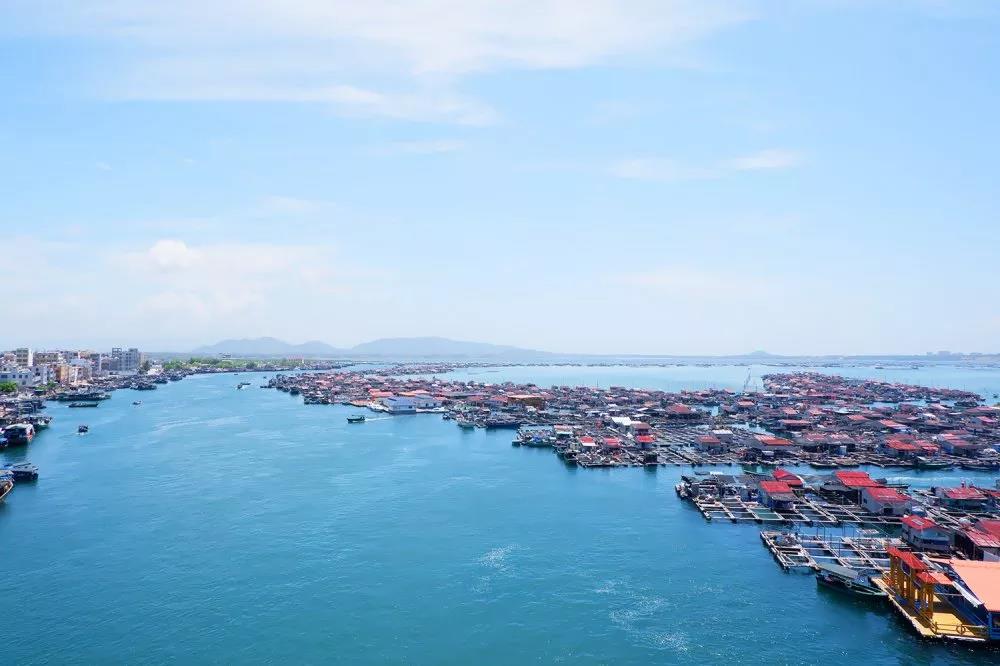 NLC电子(中国)集团