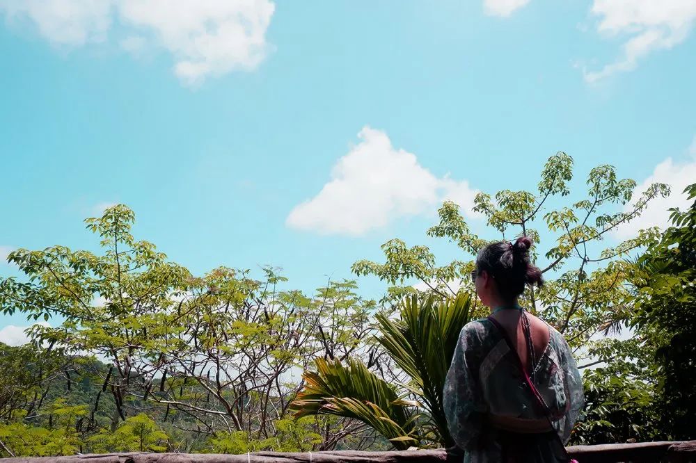 NLC电子控股集团