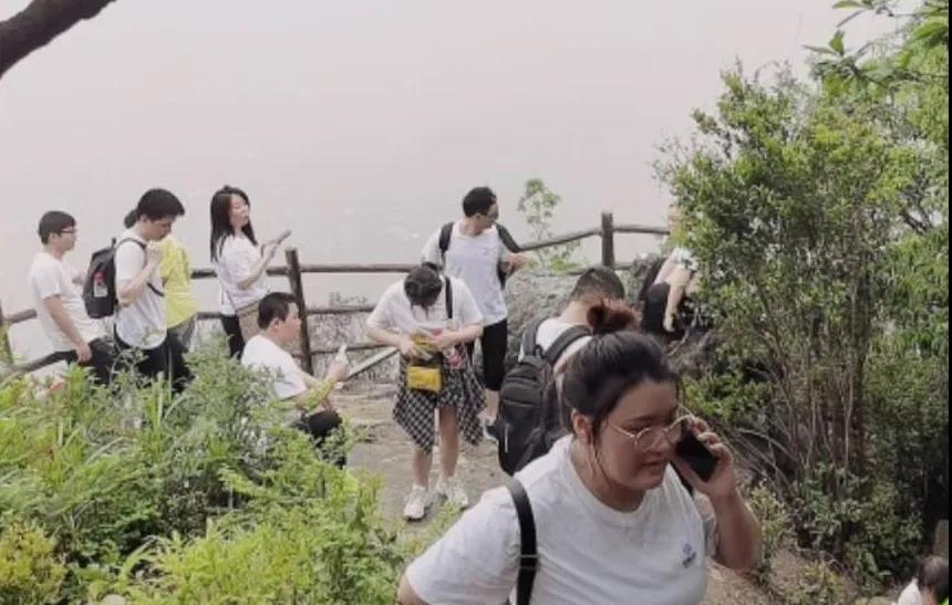 NLC电子(中国)集团