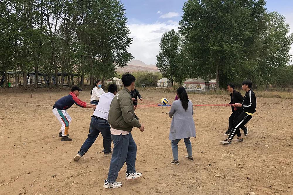 NLC电子控股集团